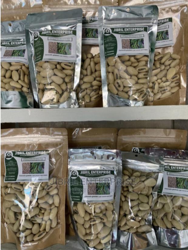 White Sword Beans (Canavalia Gladiata) · Photo 3