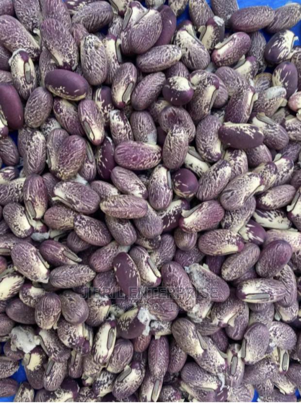 Purplish Sword Beans (Canavalia Gladiata) · Photo 2