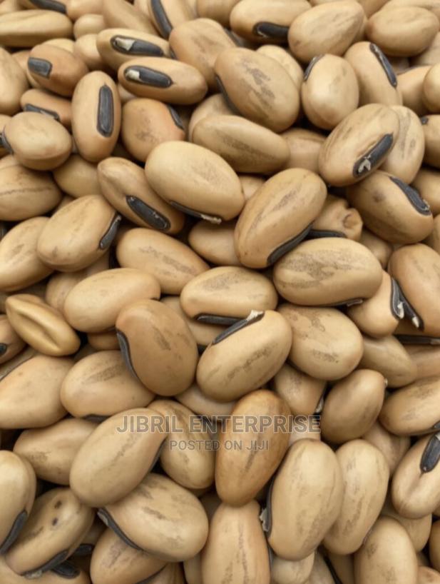 Yellowish Sword Beans (Canavalia Gladiata) · Photo 1
