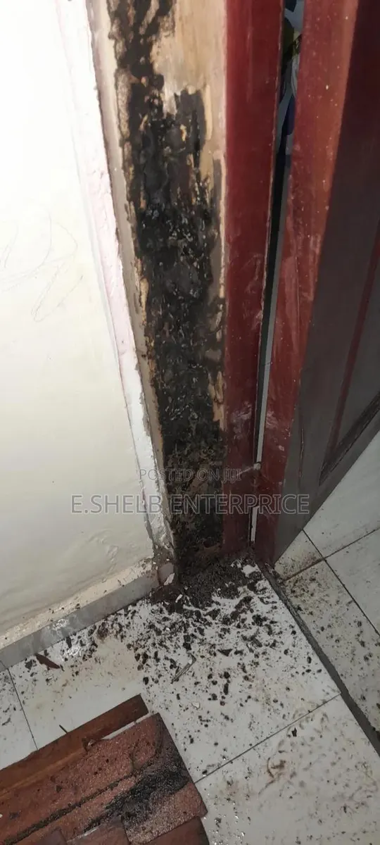 Fumigation,pest Control,cleaning and Disinfection Services · Photo 1