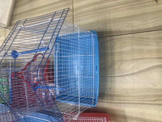 Cages for Small Birds · Photo 2
