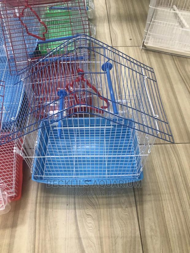 Cages for Small Birds · Photo 1