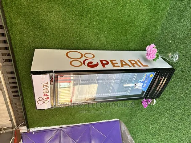 LED Light Inner Display Sleek Fridge Pearl PVC46 , 318 L · Photo 1