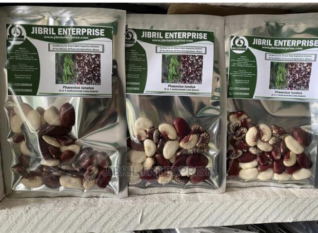 Lima Beans (Phaseolus Lunatus