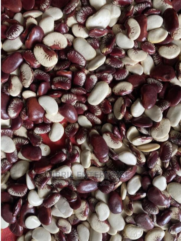 Lima Beans (Phaseolus Lunatus · Photo 2