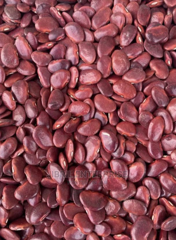 Red Lima Beans (Phaseolus Lunatus) · Photo 5