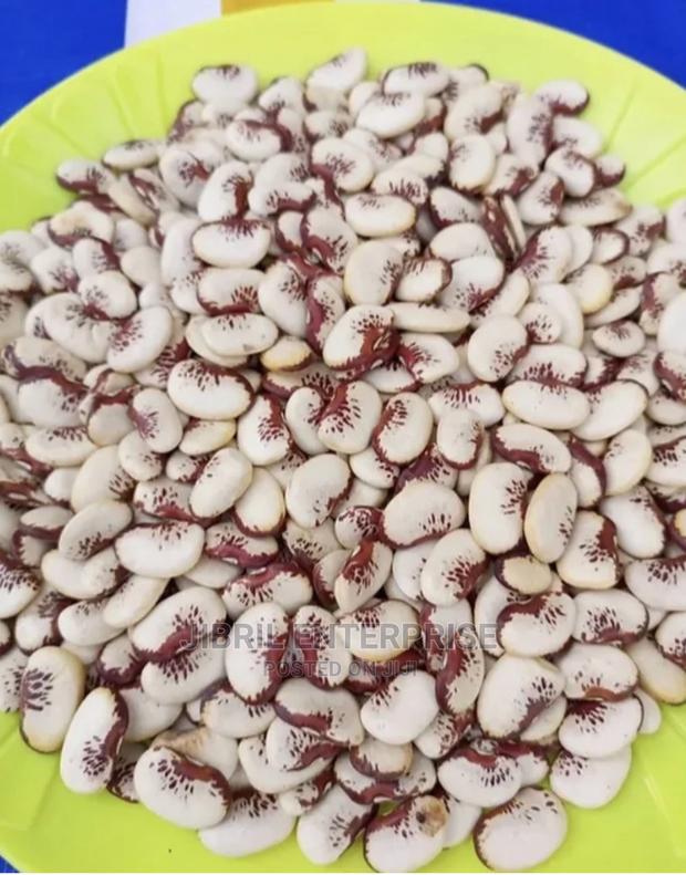 African Lima Beans (Phaseolus Lunatus) · Photo 2