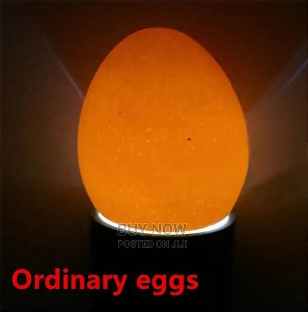 Egg Candler /Egg Tester · Photo 1