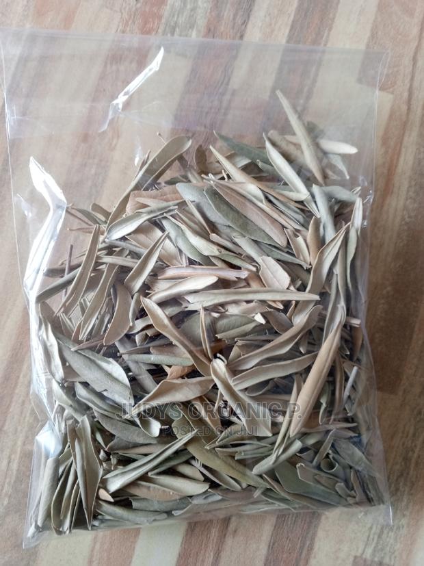 Olive Leaves · Photo 1
