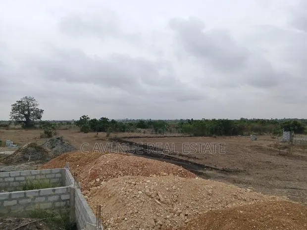 Smart Investment: Shai Hills Half Plot · Photo 1