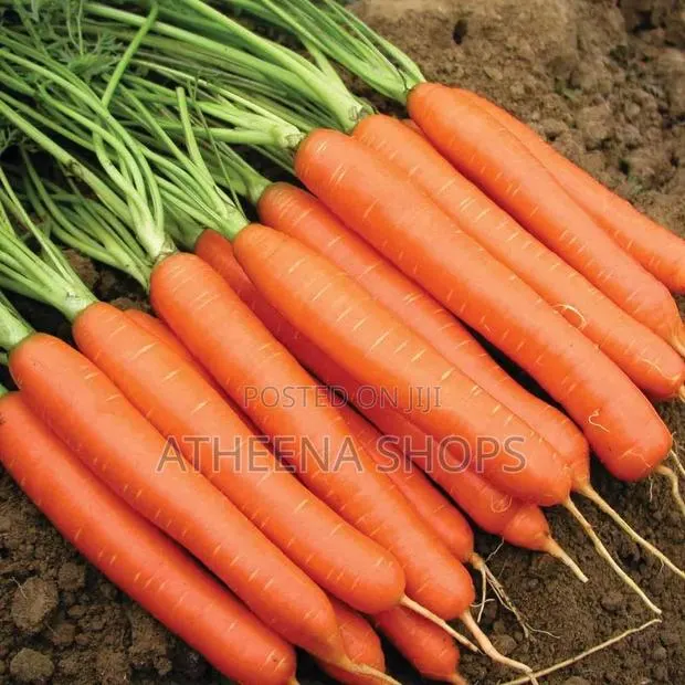 Big Carrot Seeds · Photo 1