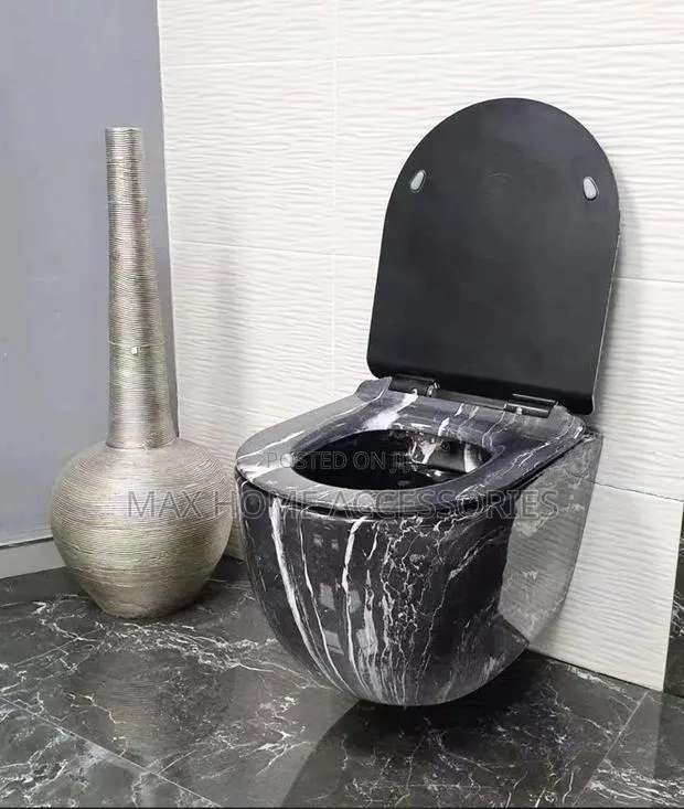 Hanging Water Closet · Photo 1