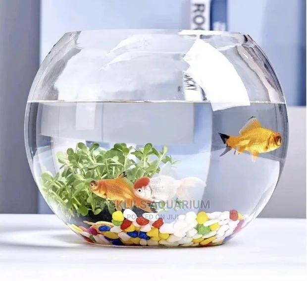 Glass Bowl Package · Photo 1