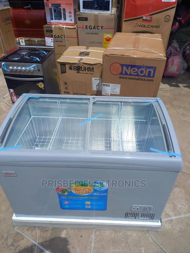 Delron Ice Cream/ Showcase Freezer 258 Litres · Photo 1