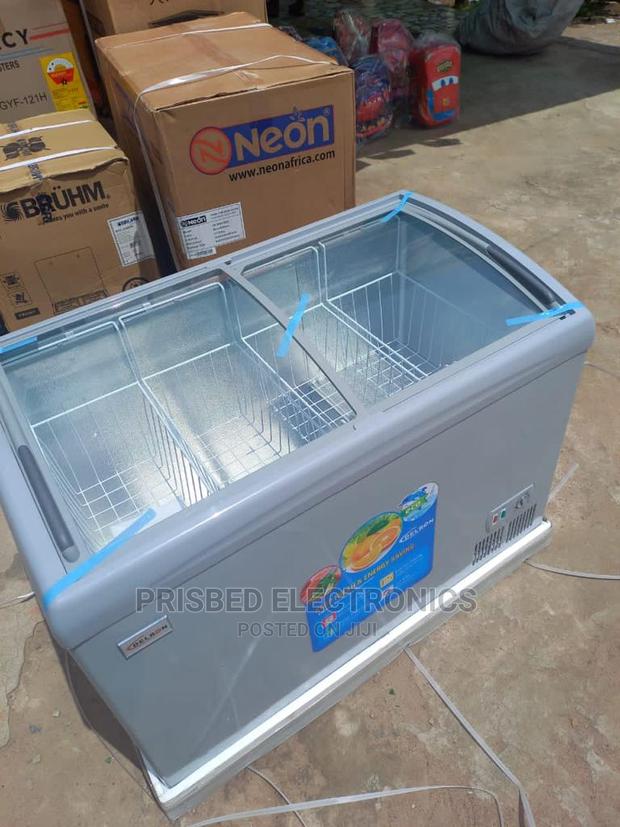 Delron Ice Cream/ Showcase Freezer 258 Litres · Photo 2
