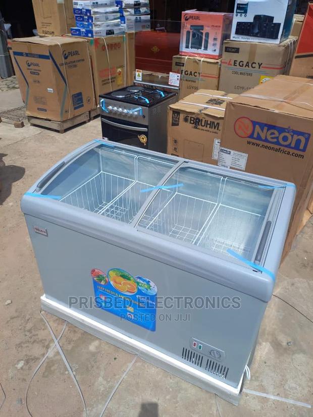 Delron Ice Cream/ Showcase Freezer 258 Litres · Photo 3