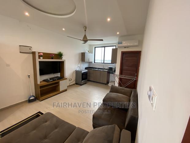 Fully Furnished 1bedroom Apartment at Tseaddo · Photo 7