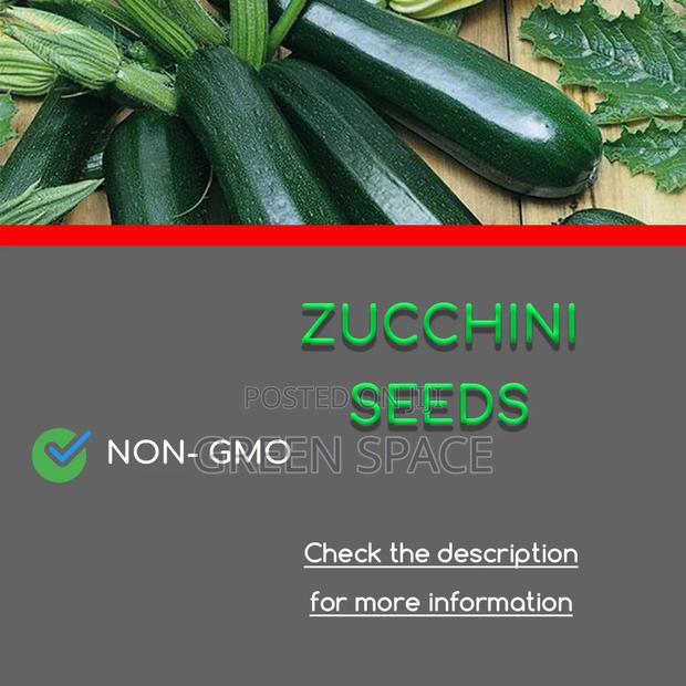 Squash Seeds · Photo 1