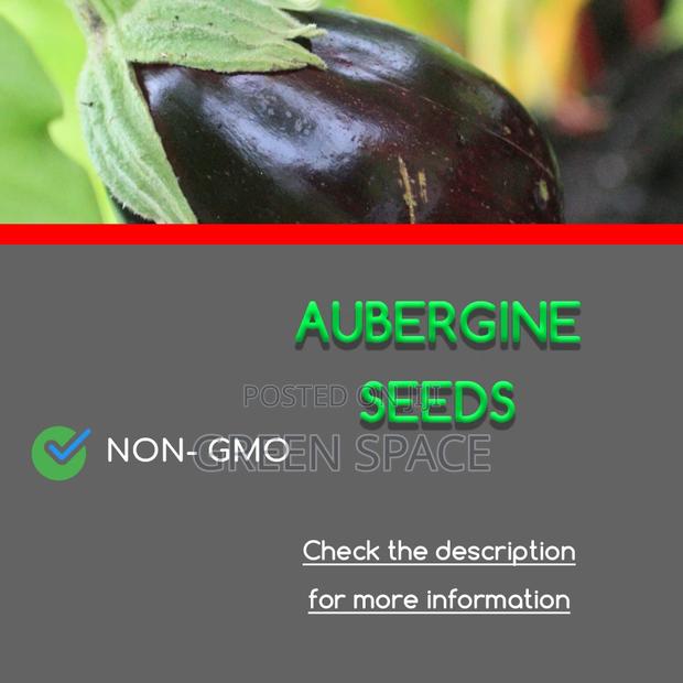 Aubergine Seeds · Photo 1