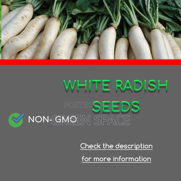 White Radish Seed · Photo 1