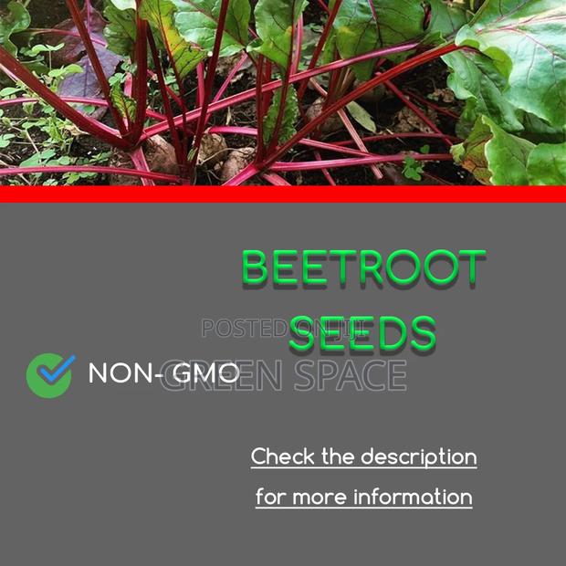 Beetroot Seeds · Photo 1