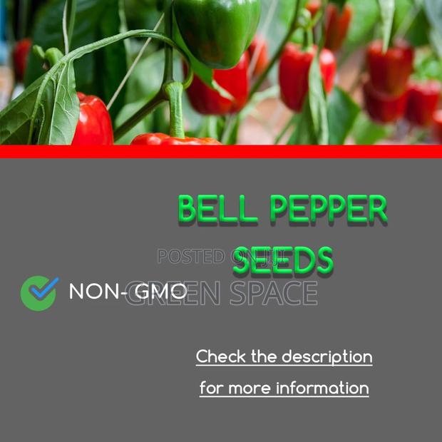 Bell Pepper Seeds · Photo 1