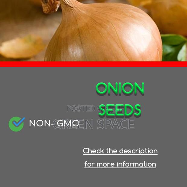 Onion Seeds · Photo 1