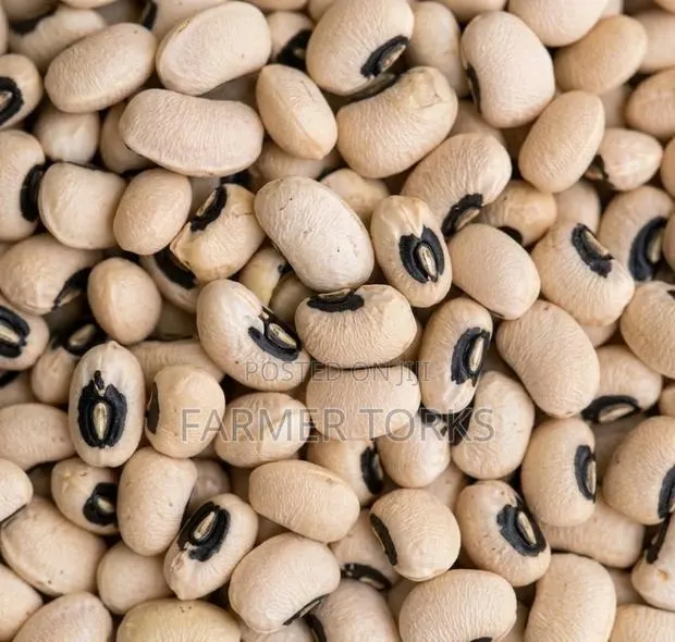 High Grade a Beans ( Olonka) · Photo 1