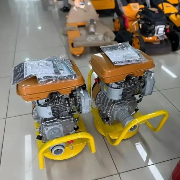 Concrete Poker Vibrator Robin Engine 5.5hp · Photo 3