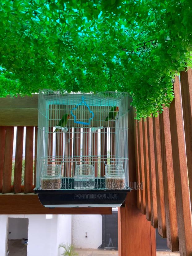 Large Parrot Cages for Parrot · Photo 2