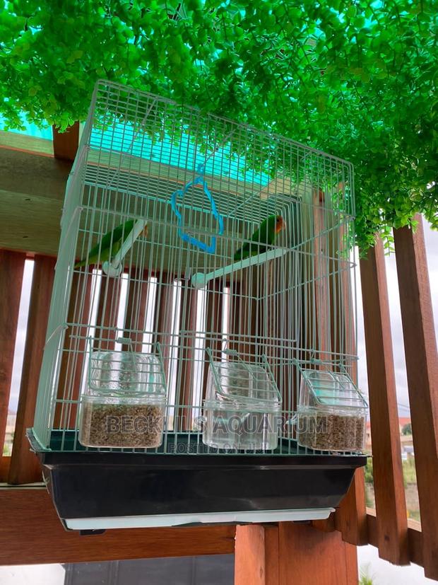 Large Parrot Cages for Parrot · Photo 1