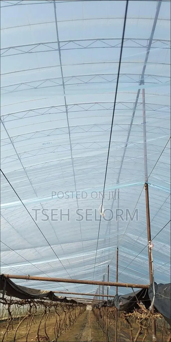 Greenhouse Plastic Film · Photo 3