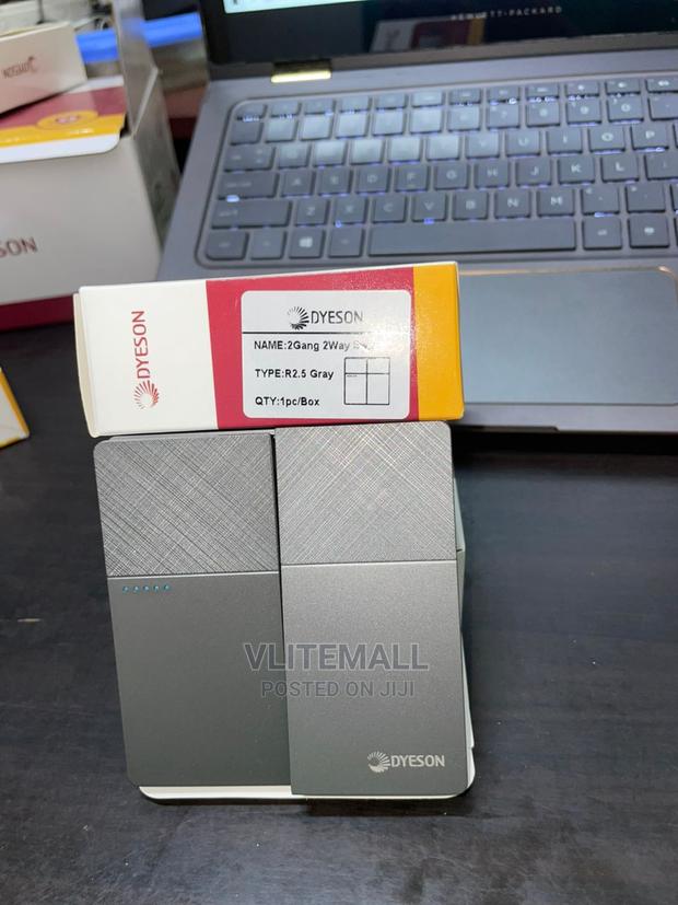 Dyeson 2gang 2way Gray(R2.5) · Photo 1