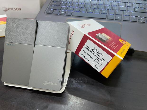 Dyeson 2gang 2way Gray(R2.5) · Photo 2