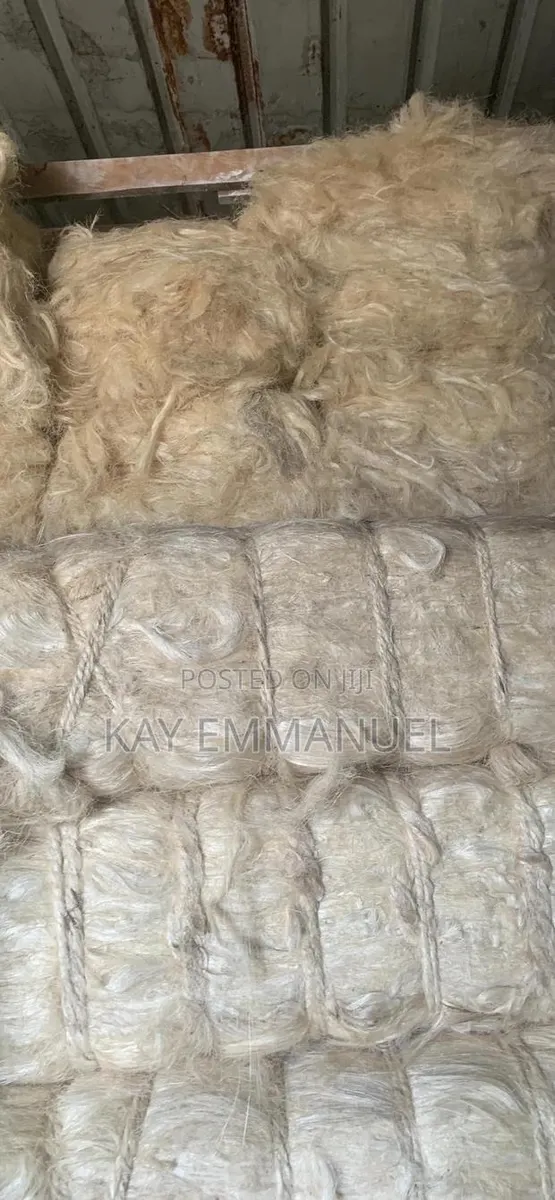 Pop Fibre Available at Wholesale Prices and Retail