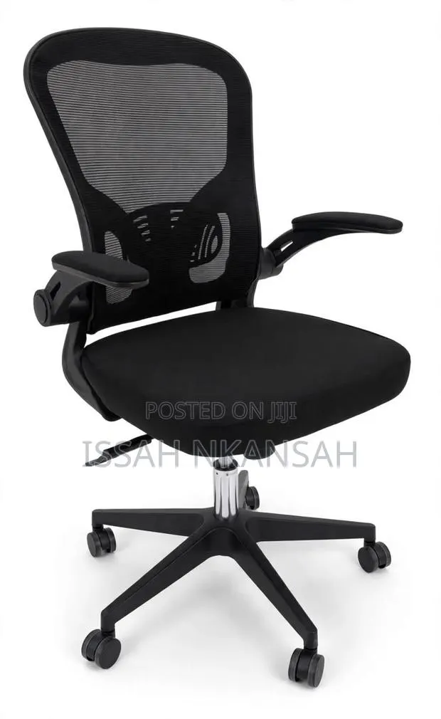 Mesh Ergonomic Office Chair · Photo 1