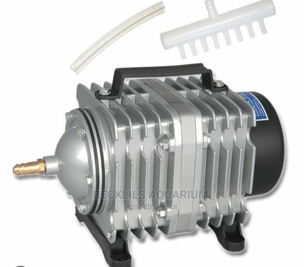70 Watts Airpumps Available · Photo 2