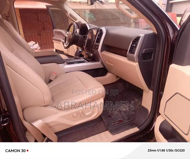 Ford F-150 2019 Brown · Photo 1