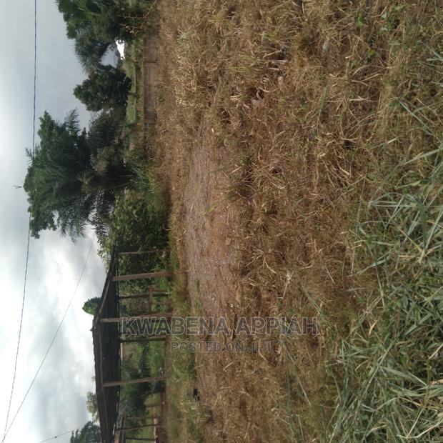 Plots of Land at Accra Kumasi Mainroad Is on Sales · Photo 2
