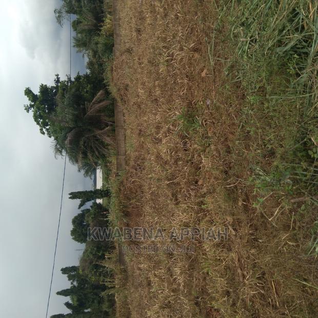 Plots of Land at Accra Kumasi Mainroad Is on Sales · Photo 3