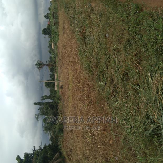 Plots of Land at Accra Kumasi Mainroad Is on Sales · Photo 4