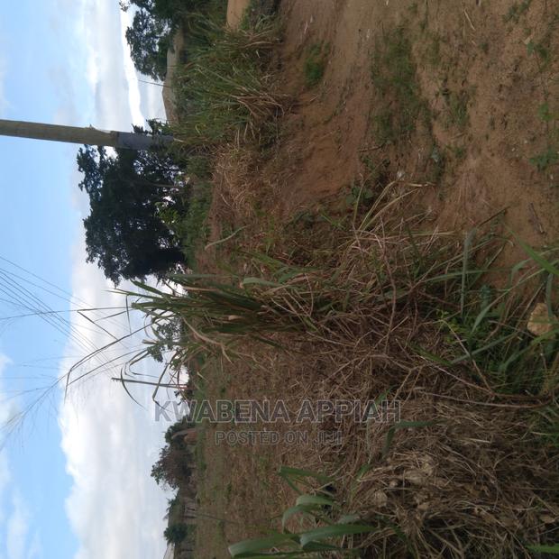 Plots of Land at Accra Kumasi Mainroad Is on Sales · Photo 8