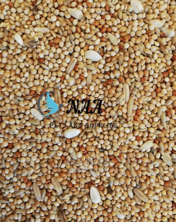 Bird Feed/ Budgie Feed · Photo 1