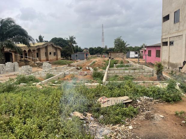 Roadside Plot of Land for Sale at Botwe Littel Rosse · Photo 2