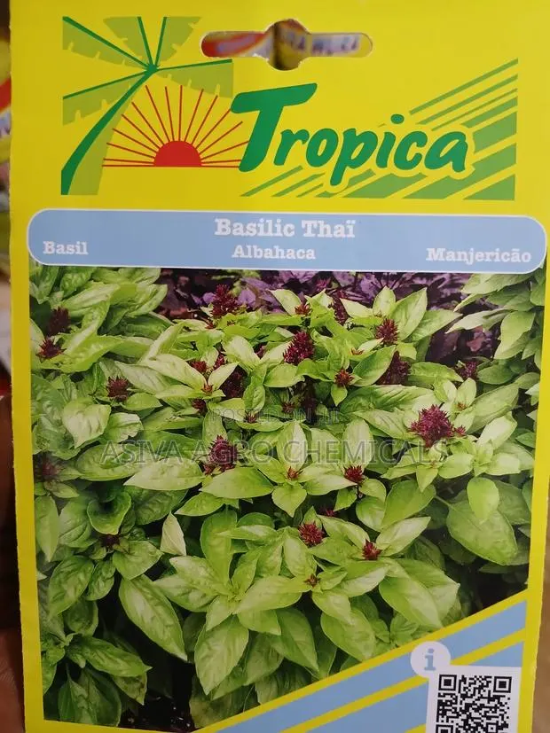 Basil (Thai Basil) · Photo 1