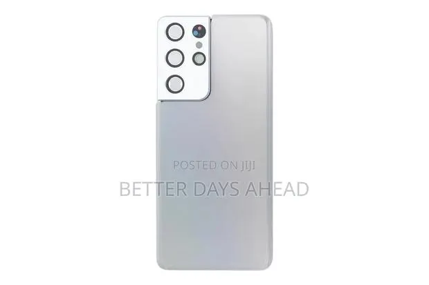 Samsung Galaxy S21 Ultra Back Glass Replacement (Silver) · Photo 1
