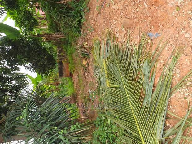 Plot for Sale at Santasi Ahema Kokoben Near Main Road · Photo 1