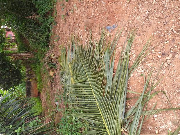 Plot for Sale at Santasi Ahema Kokoben Near Main Road · Photo 2