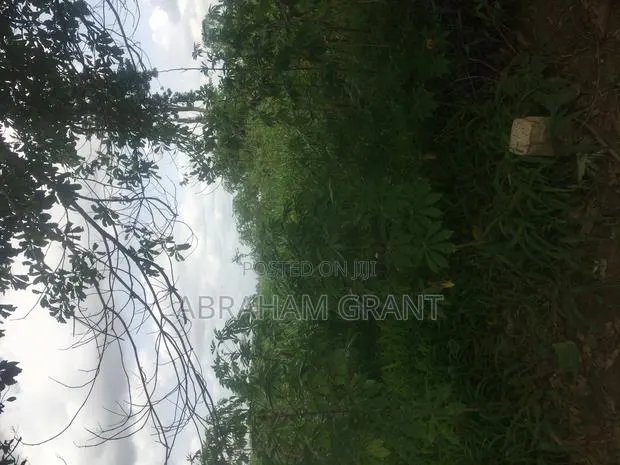 Many Genuine Land for Sale at Ejisu Boankra and Atia. · Photo 1