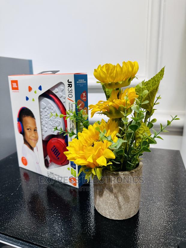 Crisper Quality Sound JBL JBL JR 310 Headphones · Photo 1